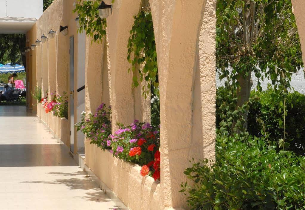 Rodos Star Afandou